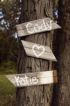 two wooden signs are attached to the side of a tree that says caddy and kittyie