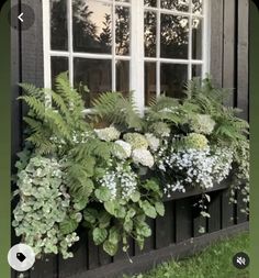 a window box filled with green plants and white flowers next to a window sill