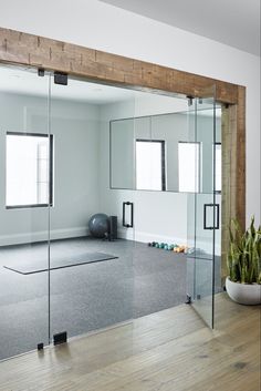 an empty room with glass walls and a potted plant on the floor in front of it