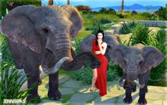 a woman in a red dress standing next to two elephants