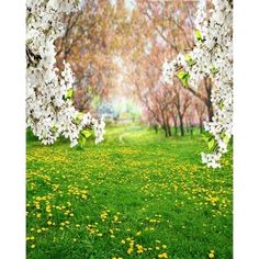 an open field with white flowers and trees in the background, as well as green grass