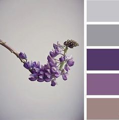 the color scheme is purple and grey, with some flowers in it's center