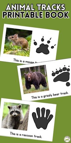 an animal tracks printable book with pictures of animals