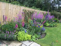 a garden filled with lots of purple flowers next to a wooden fence and green grass