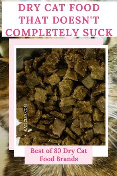 Having trouble switching from dry to wet food? You may have to transition to one of these dry foods first! Cats develop a serious craving for kibble because many pet food manufacturers spray flavor enhancers on the product to entice the cat to eat more of it. Cats develop an addiction to these enhancers. And on top of that they are very picky and sensitive to food changes. These dry cat foods have much better quality ingredients and will help your cat get used to eating good food Check them out! Eating Good Food, Bison Meat, Eating Good