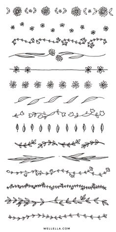 a set of hand drawn floral design elements