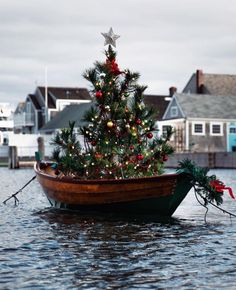 an instagram page with a christmas tree in a boat on the water and houses behind it