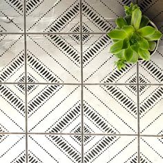 a potted plant sitting on top of a white tiled floor next to a tile wall