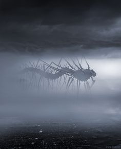 an image of a giant grasshopper in the middle of foggy water with dark clouds