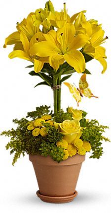 a potted plant with yellow flowers in it