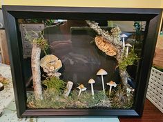 a group of mushrooms sitting inside of a black frame on top of a wooden table