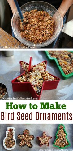 how to make bird seed ornaments for christmas