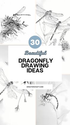 dragonfly drawings with the words beautiful people drawn in black and white on top of them