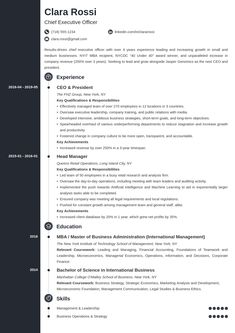 a professional resume template with no work experience on the front and back pages, it is also