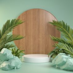 there are some plants and rocks in front of a wooden circle on the wall behind them