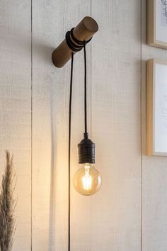 a light bulb hanging from the side of a wall next to a plant and framed photograph