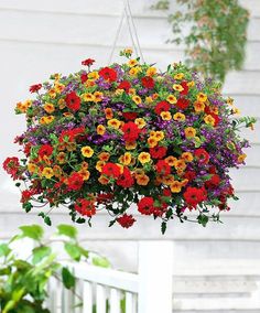 a hanging basket filled with lots of colorful flowers