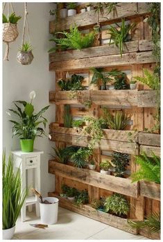 wooden pallets with plants on them are used as a wall decoration in the living room