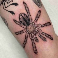 a spider tattoo on the arm with other tattoos around it and an insect in the center