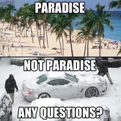 two pictures one with snow and the other with cars parked in front of palm trees