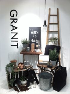 an assortment of potted plants on display in a room with white walls and wooden ladders