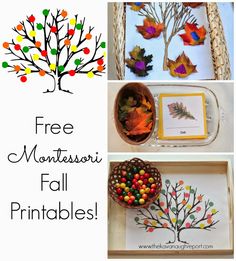 four different fall activities for kids to do with the leaves and branches on paper plates