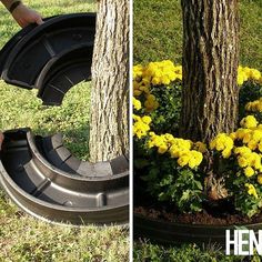 two pictures side by side, one with yellow flowers and the other with black tires