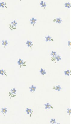 blue and yellow flowers on a white background