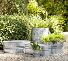 four metal planters with plants in them on gravel area next to bushes and trees