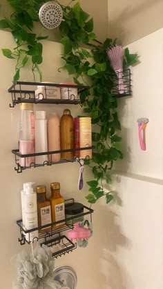 the bathroom is clean and ready to be used as a shower caddy for hair care products