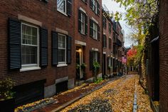 an alleyway with brick buildings and trees in fall foliage on either side, the street is lined with cobblestones