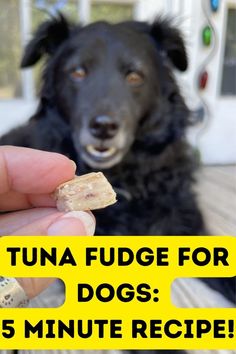 a person holding a dog's food in their hand with the words tuna fudge for dogs 5 minute recipe