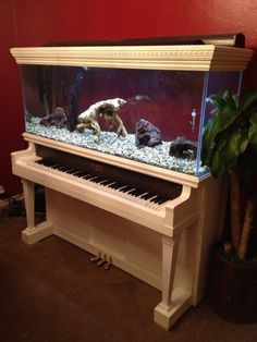 an old piano is sitting in front of a fish tank