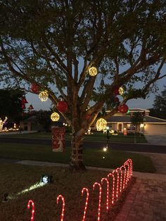 christmas lights are lit up around a tree