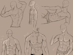 an image of a man's torso and arm muscles in various poses by himself