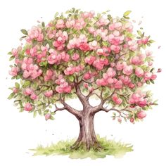 a watercolor painting of a tree with pink flowers