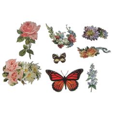 an assortment of flowers and butterflies on a white background