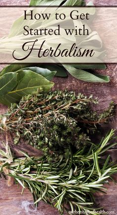 herbs on a wooden table with the title how to get started with herbism