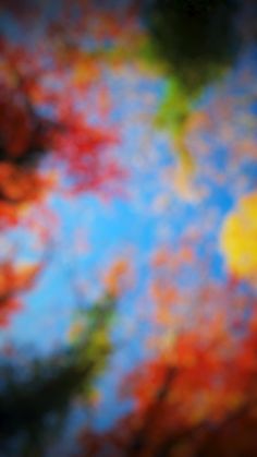 a blurry image of leaves and blue sky