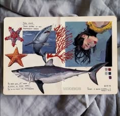 an image of a book with pictures of sharks and other sea creatures on it's cover