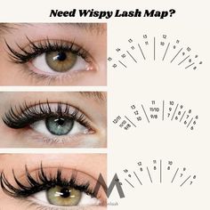 Kitten Eyelash Extensions Mapping, Wet Lash Map, Eyelash Extensions Mapping, Lashes Map, Wispy Lash Map, Lash Tricks, Eye Makeup Images