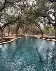 an outdoor swimming pool surrounded by trees