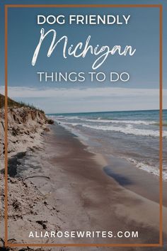 a beach with the words dog friendly michigan things to do in front of it and an orange frame