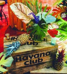 pineapples and other tropical plants sit on wooden crates in front of a bar