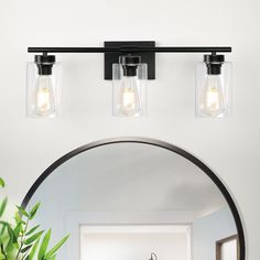 a bathroom mirror with two lights above it and a plant in the corner next to it