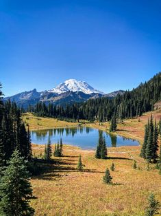 a lake surrounded by trees with a snow capped mountain in the background on a sunny day