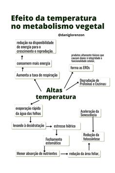 a diagram with the words metas and their corresponding parts in spanish, english, and latin