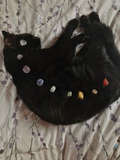 a black cat laying on top of a bed covered in lots of different colored buttons