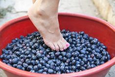 a person's foot sticking out of blueberries in a red bucket