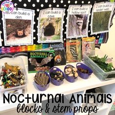 Nocturnal Animals Activities and Centers for Little Learners - Pocket of Preschool Bear Dramatic Play Preschool, Forest Animals Dramatic Play, Winter Prewriting Activities Preschool, Pre K Hibernation Activities, Arctic Animal Dramatic Play, Winter Dramatic Play Ideas, Animals That Hibernate Preschool, Hibernation Preschool Theme